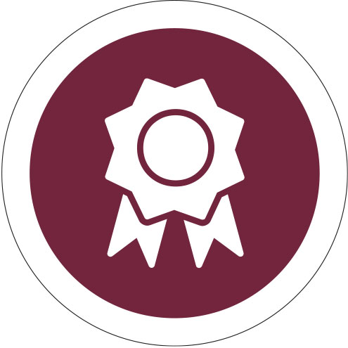 Renaissance Development Accolades Icon
